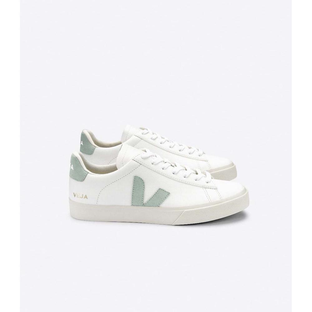 Veja CAMPO CHROMEFREE Men\'s Low Tops Sneakers White/Green | CA 196NWY